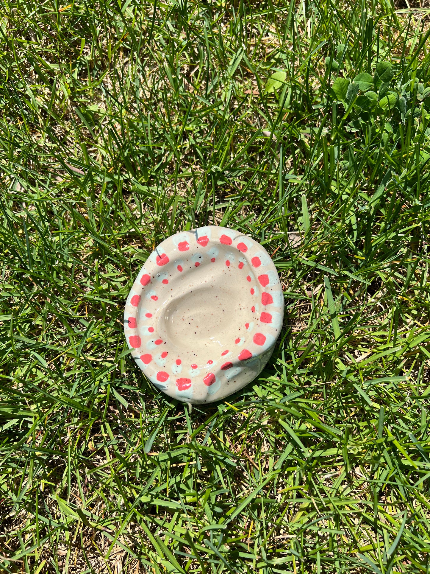 Double Spotted Blotchy Dish Large