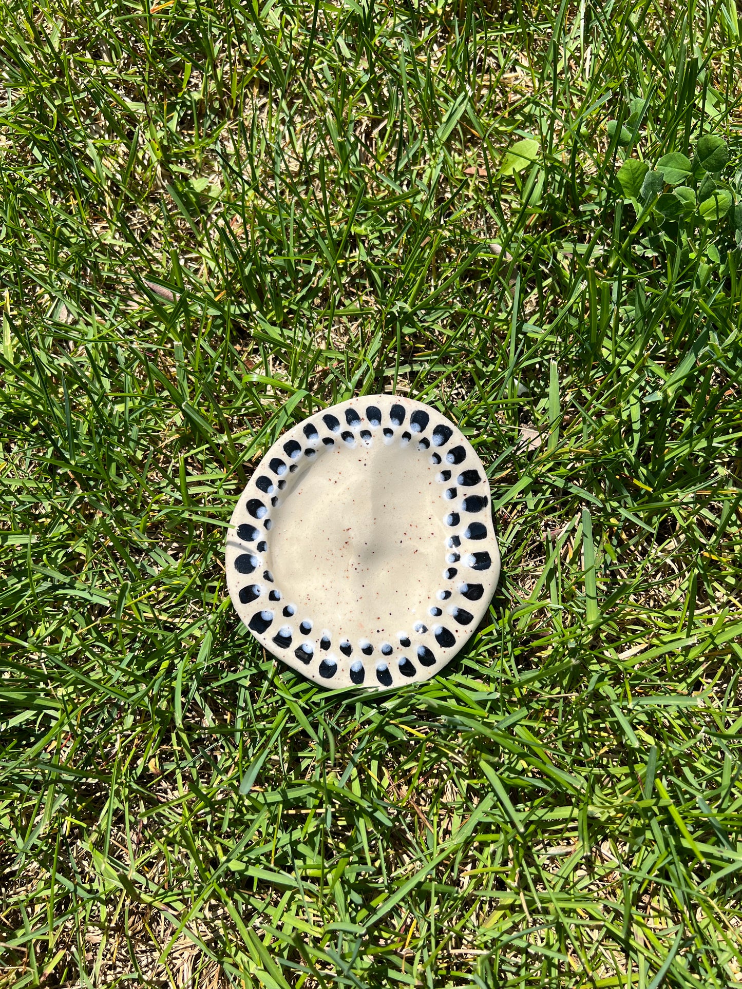 Double Spotted Blotchy Dish Large