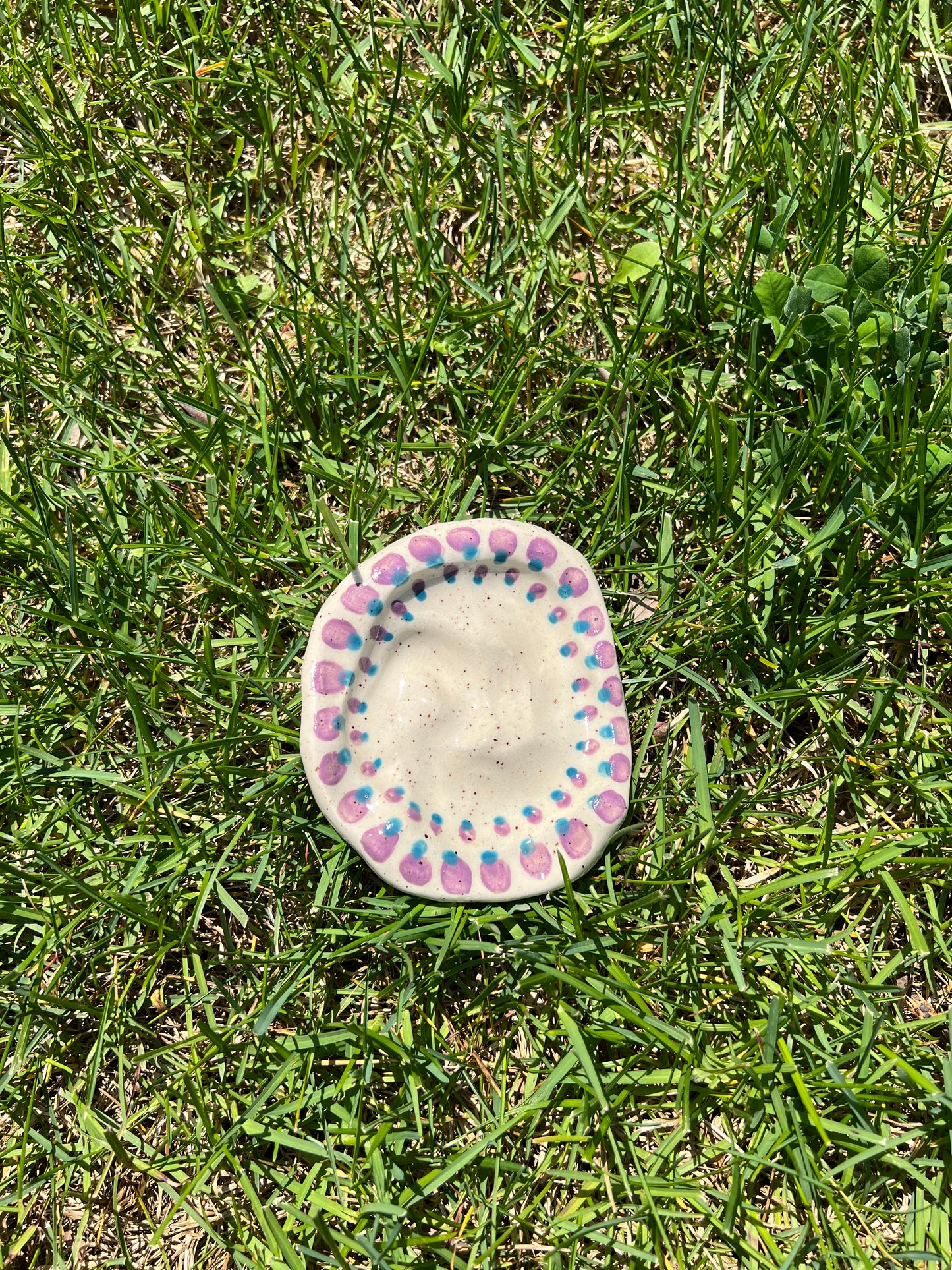 Double Spotted Blotchy Dish Large
