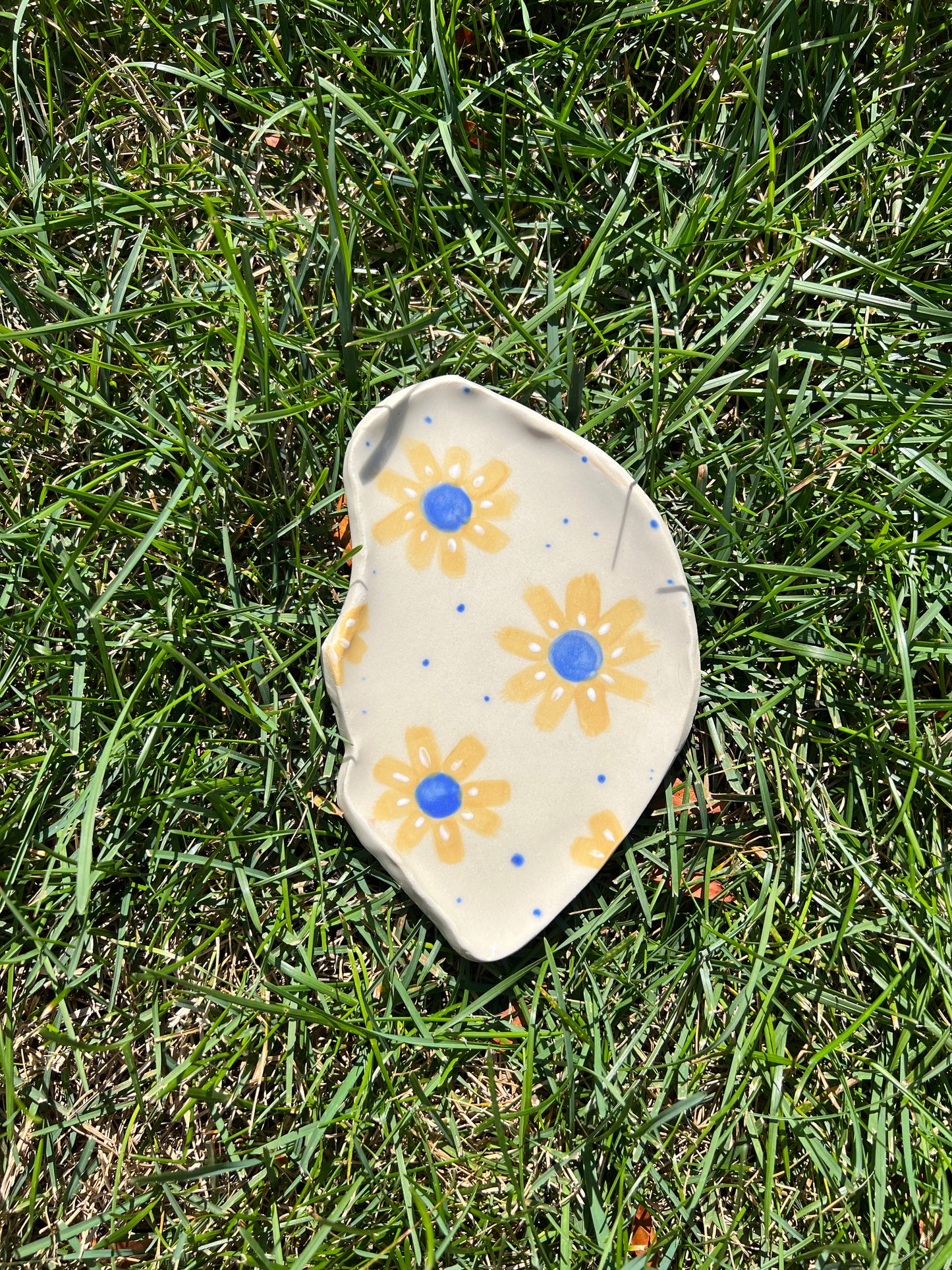Yellow Cosmos Flower Oyster Plate