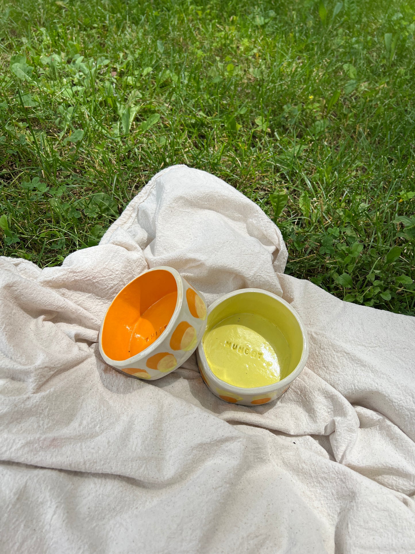 Butternut Squash Pet Bowl Set