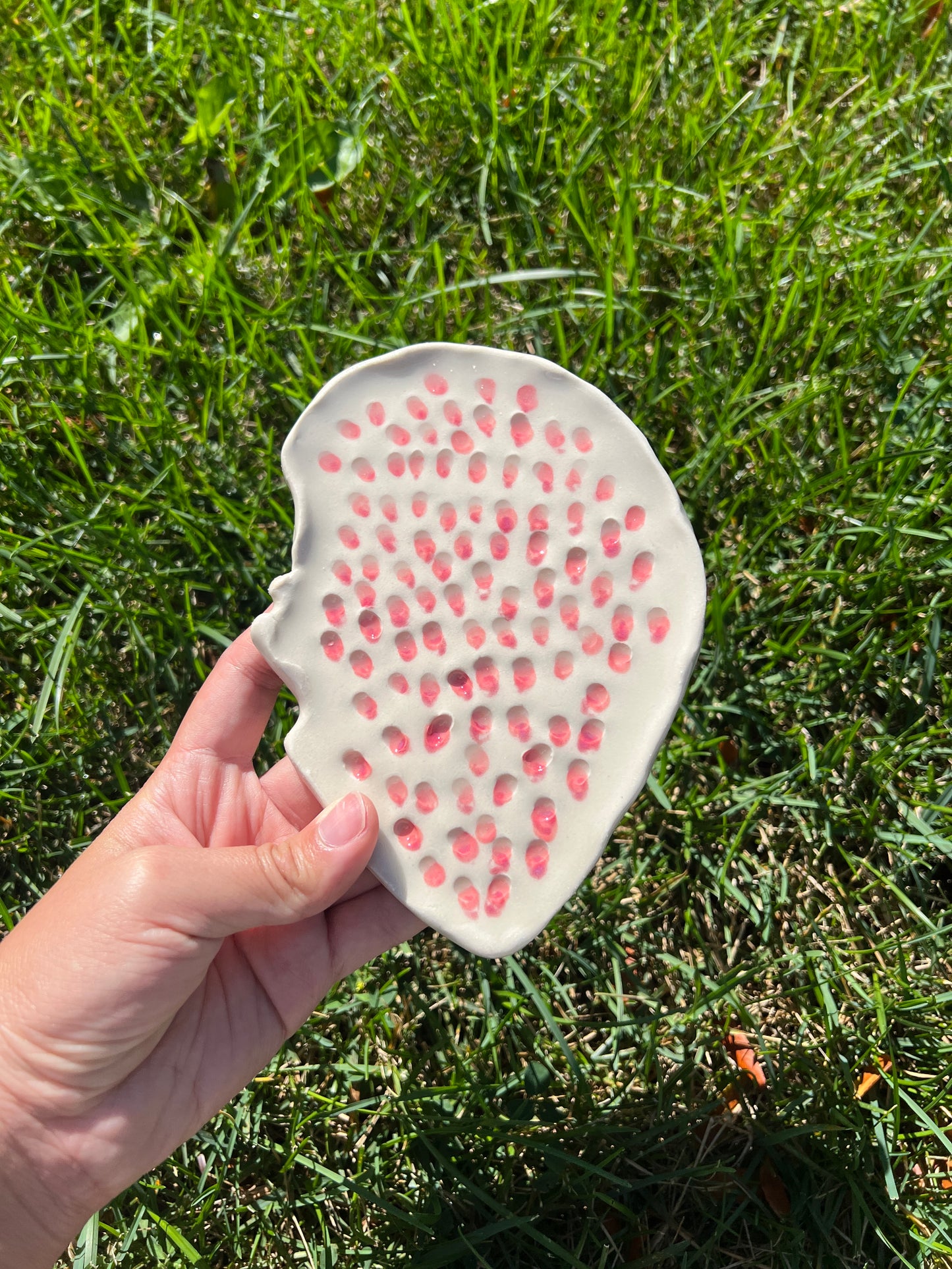 Pink & Red Trypophilia Oyster Plate