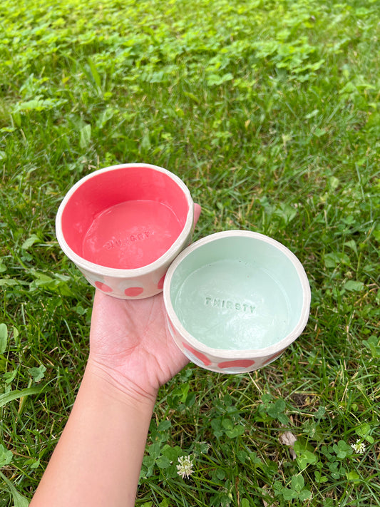 Mint Bubblegum Pet Bowl Set