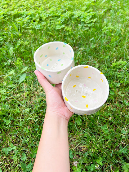 Birthday Cake Pet Bowl Set