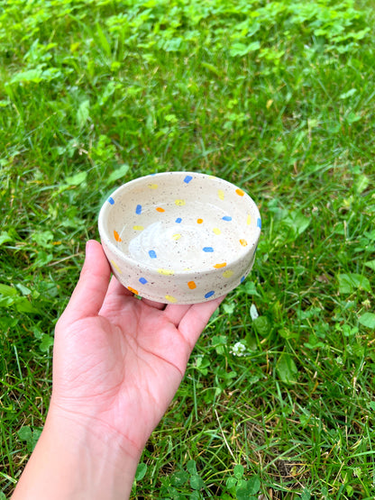 Fall Confetti Bowl