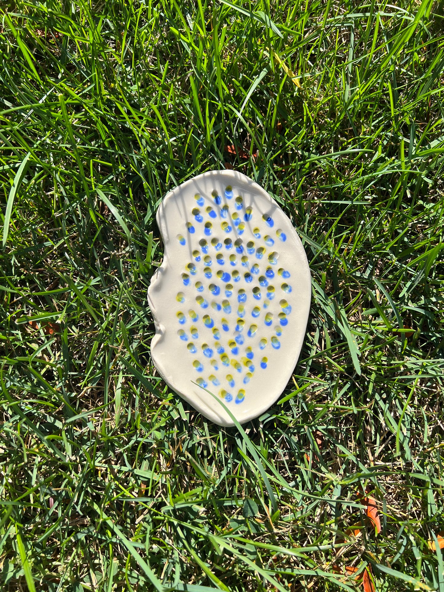 Blue Green Trypopholia Oyster Plate