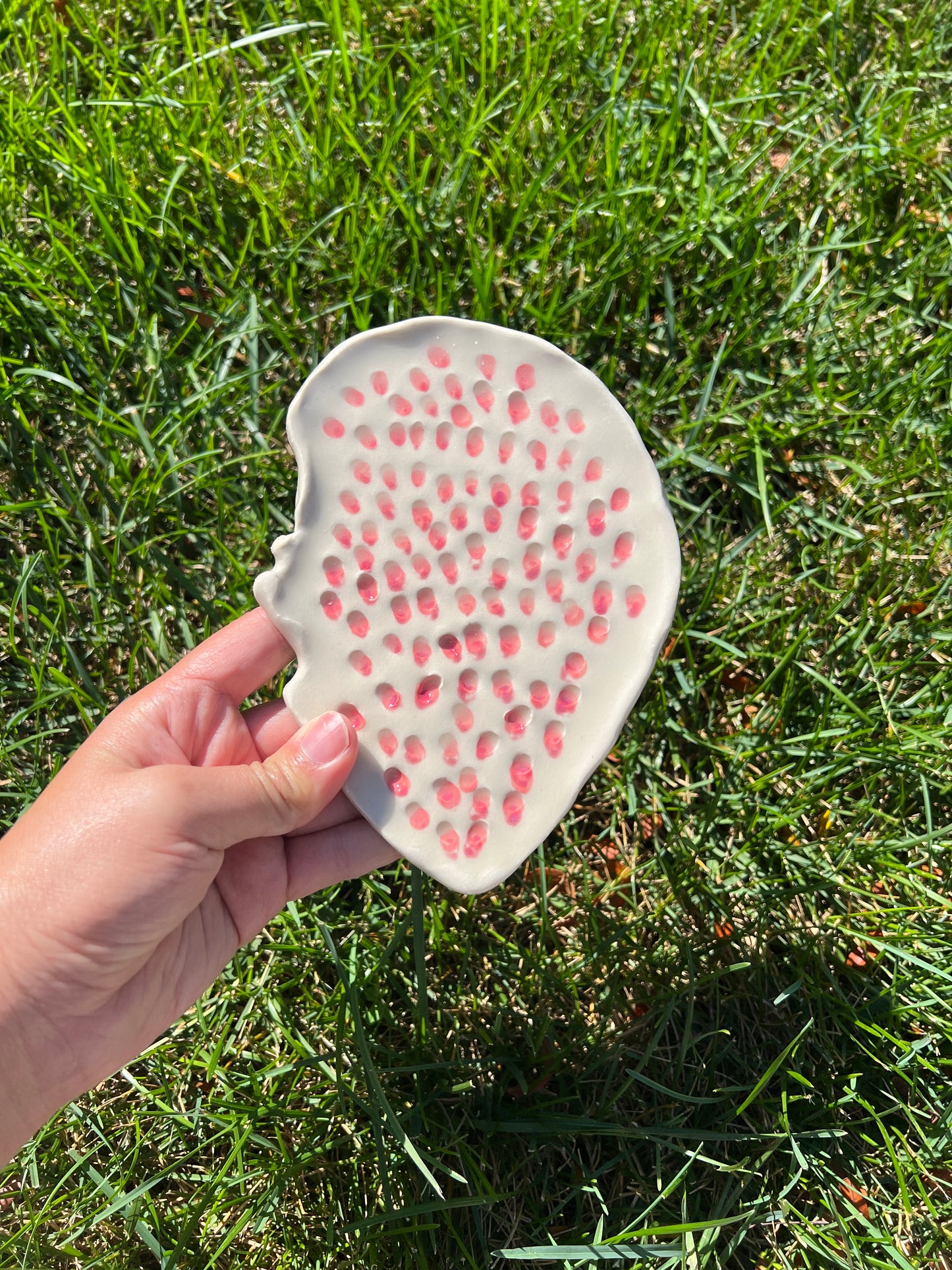 Pink & Red Trypophilia Oyster Plate