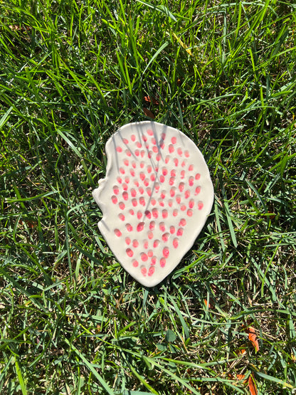 Pink & Red Trypophilia Oyster Plate