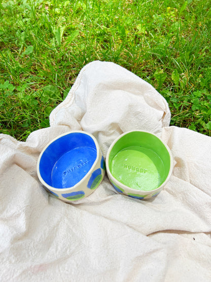 Blue Lime Drop Pet Bowl Set