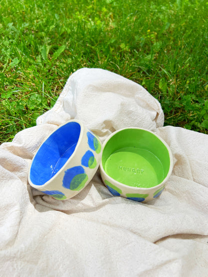 Blue Lime Drop Pet Bowl Set