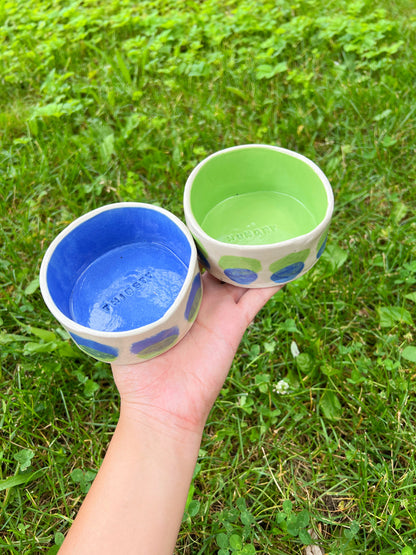 Blue Lime Drop Pet Bowl Set