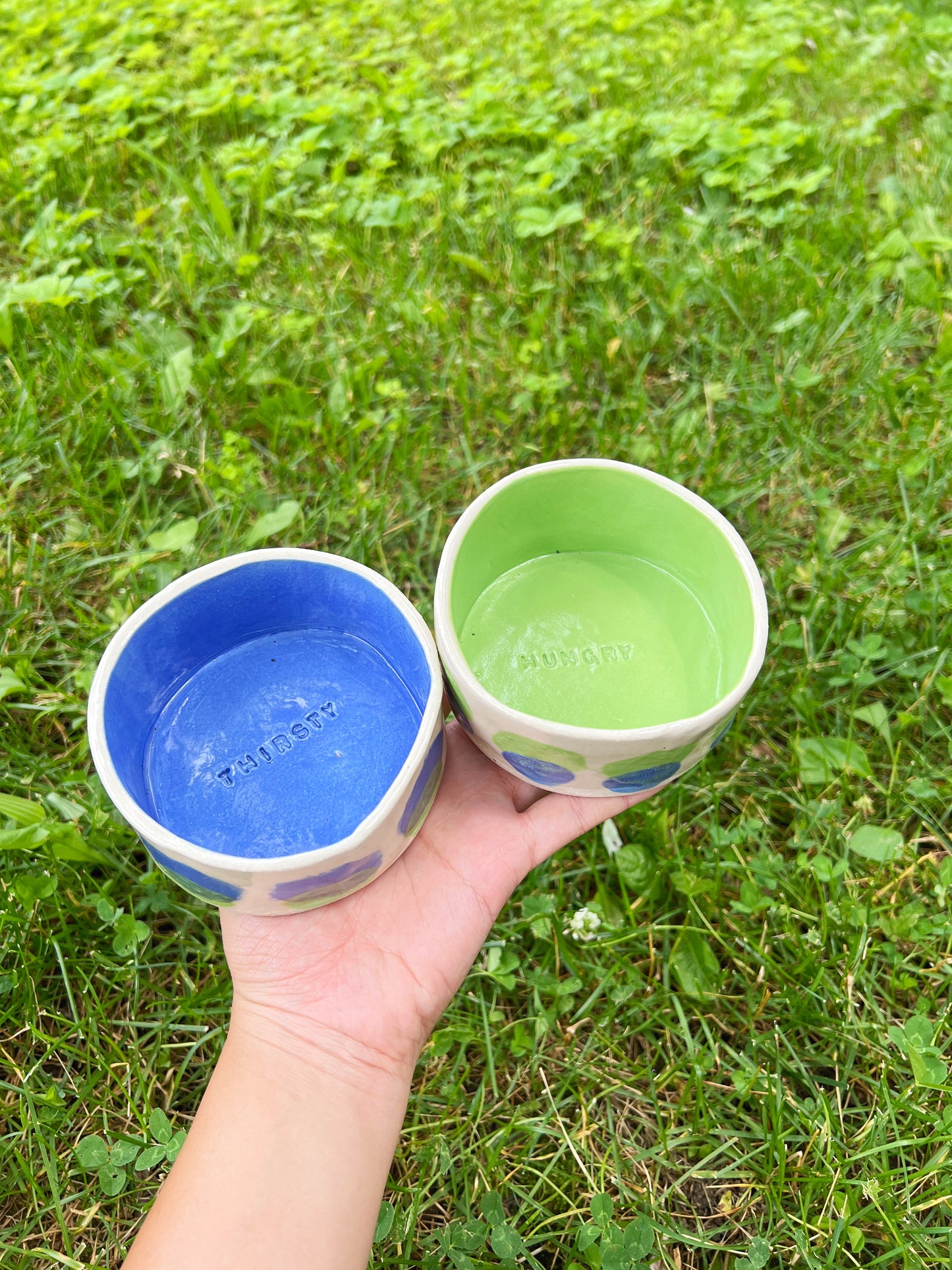 Blue Lime Drop Pet Bowl Set