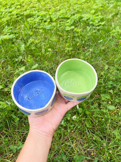 Blue Lime Drop Pet Bowl Set