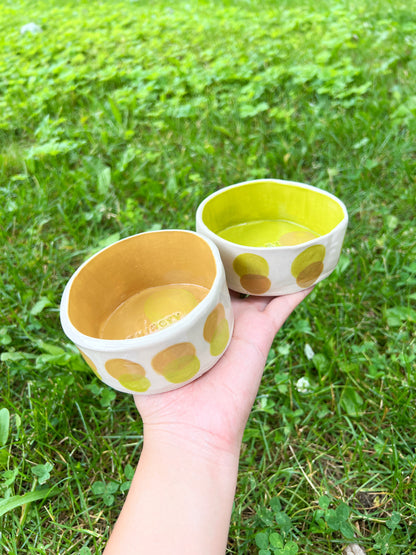 Olive Honey Pet Bowl Set