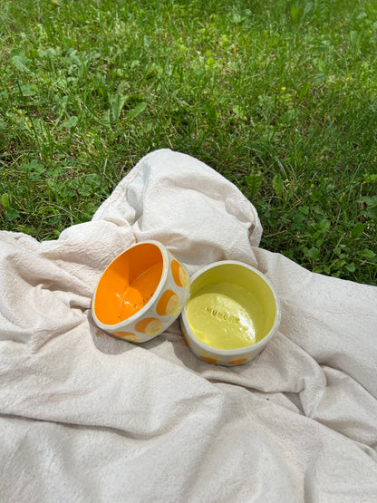 Butternut Squash Pet Bowl Set