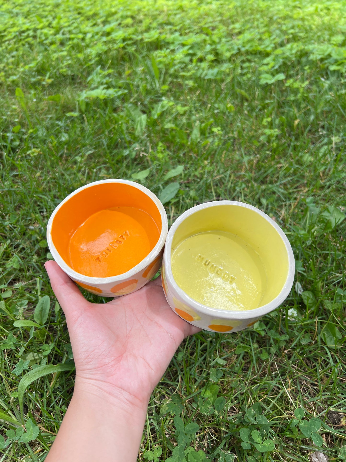 Butternut Squash Pet Bowl Set