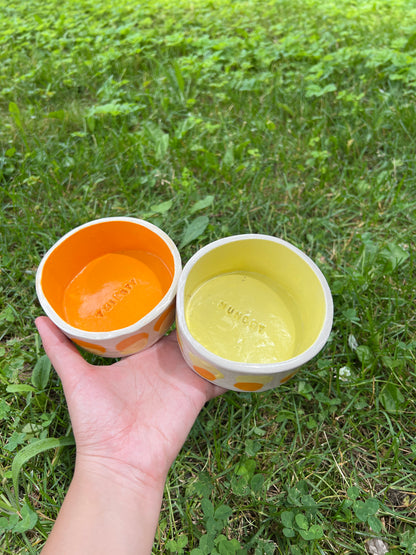 Butternut Squash Pet Bowl Set