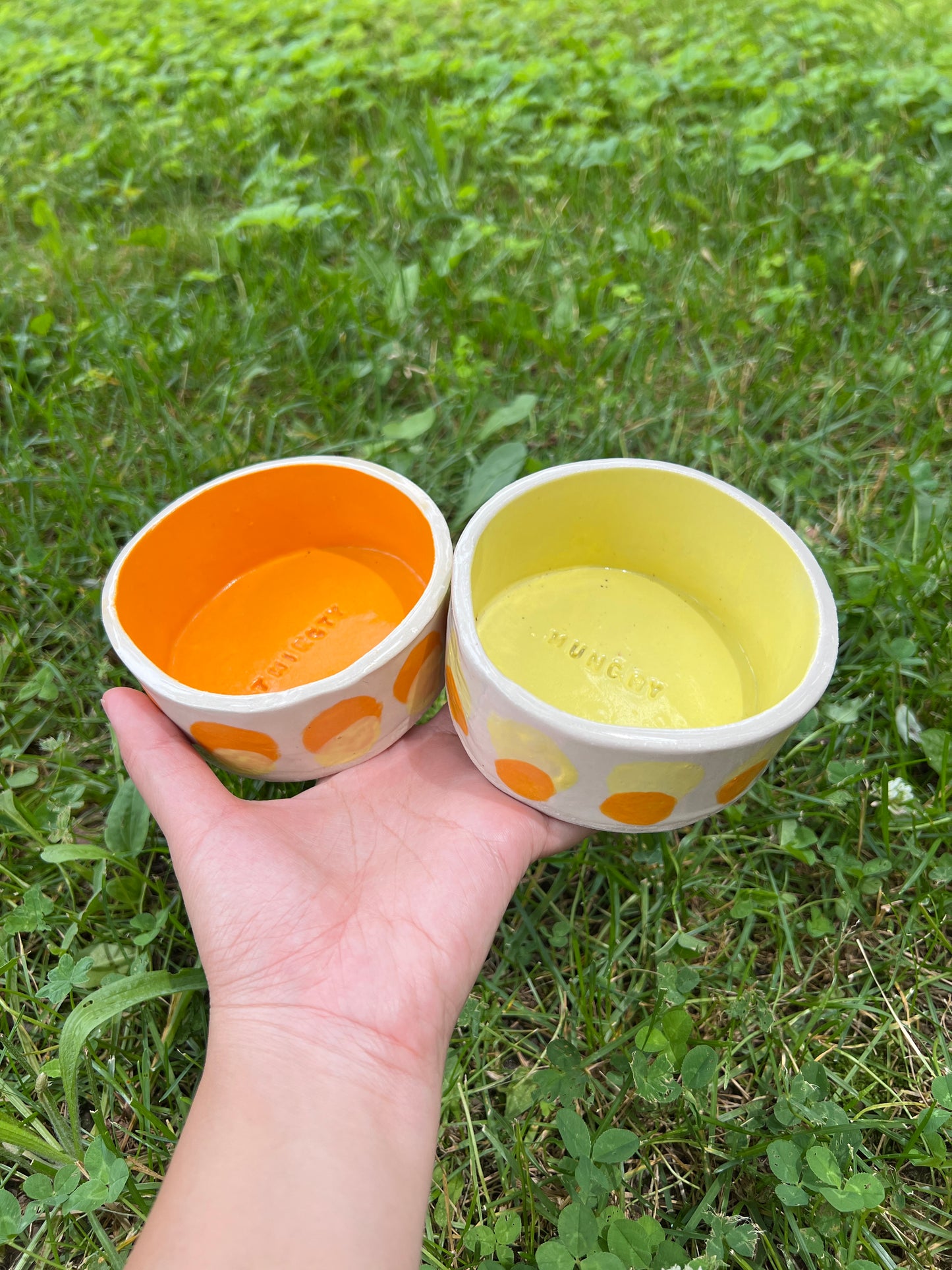 Butternut Squash Pet Bowl Set