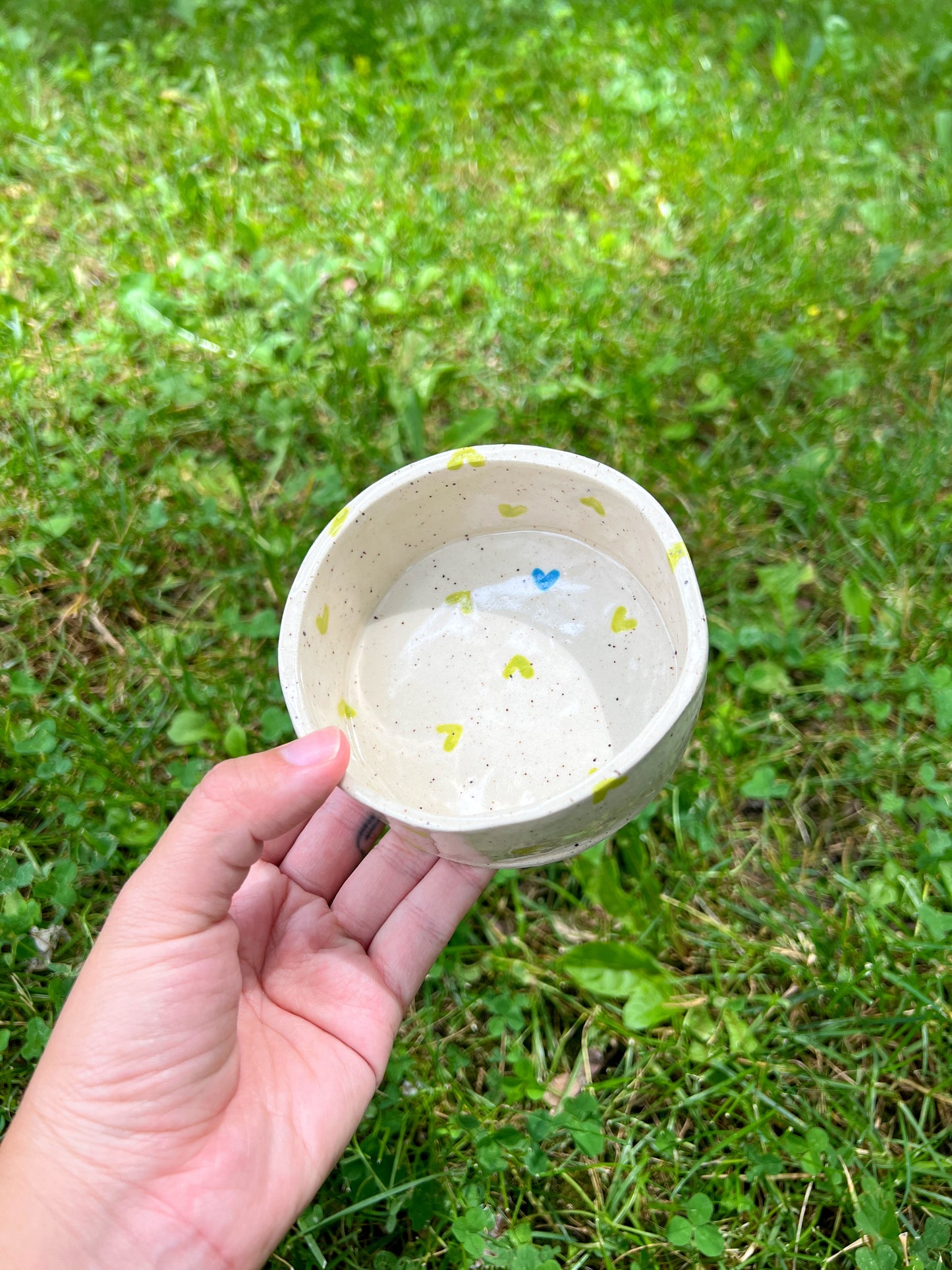 Green Apple Hearts Pet Bowl