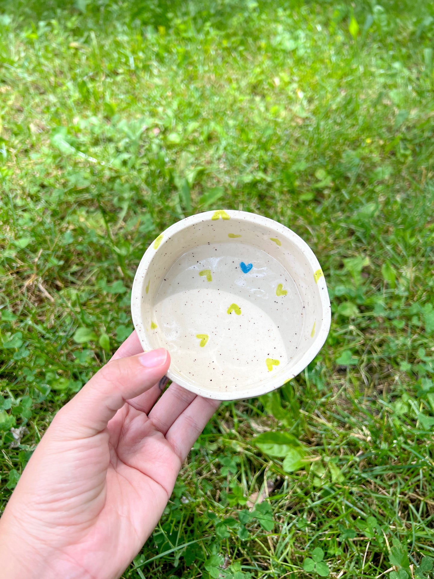 Green Apple Hearts Pet Bowl